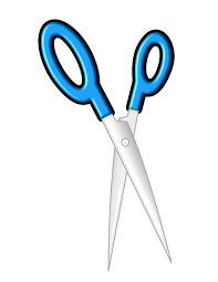 scissors with blue handles