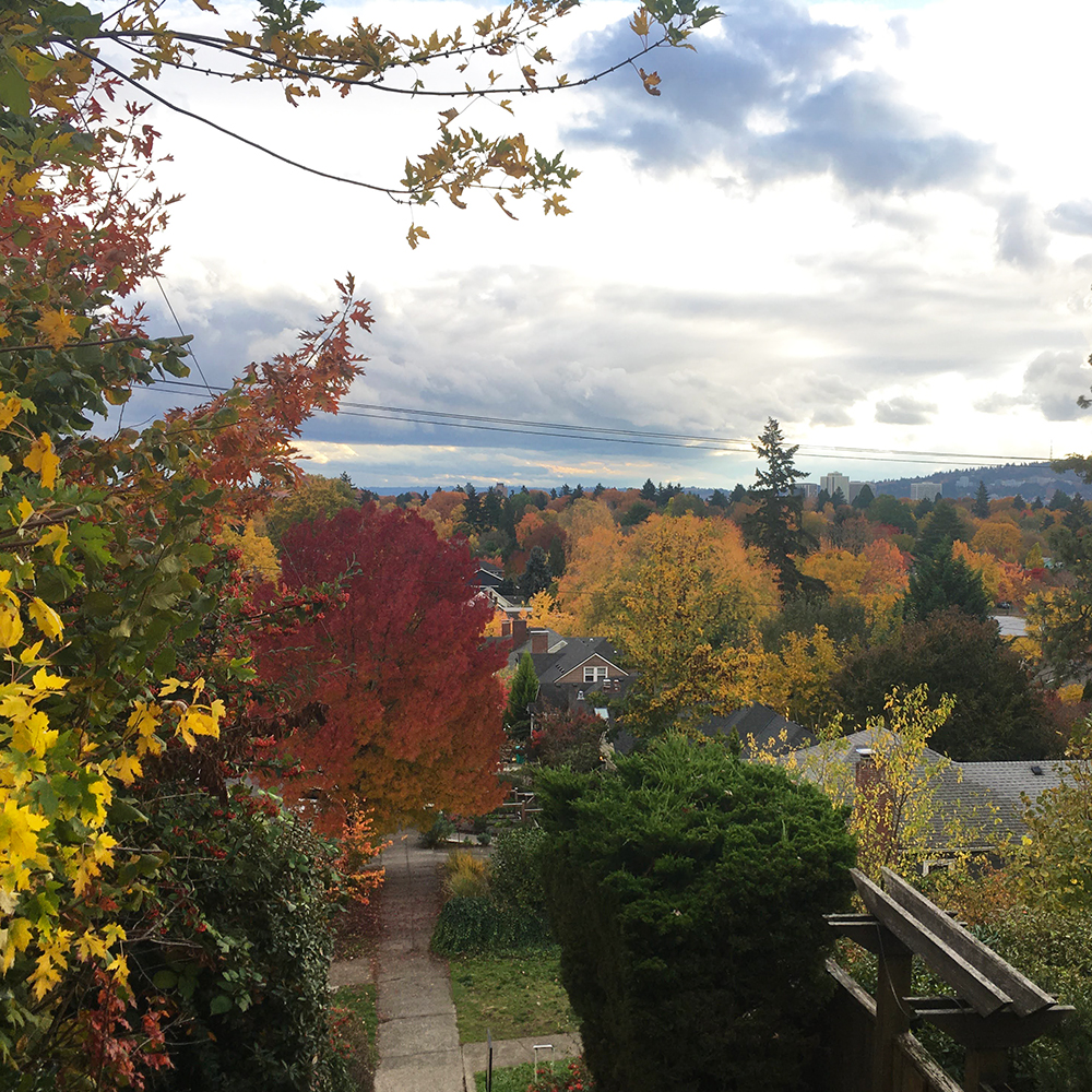 view of Portland in the fall with red, yellow and gold leaves on trees and a cloudy sky.