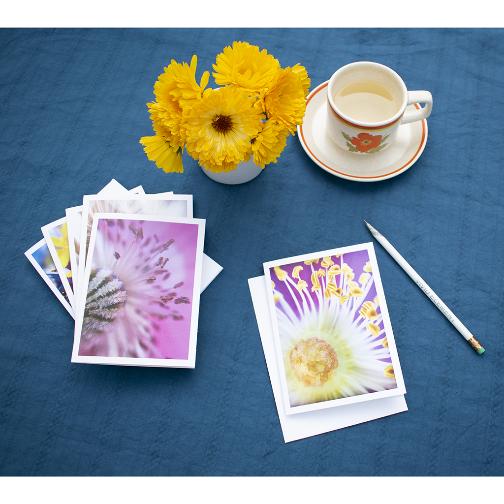 macro flower photo art card set fanned out on table with calendula flowers, tea and a pencil, all ready to write.