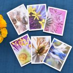 Garden Universe: Macro Flower Photo Art Cards