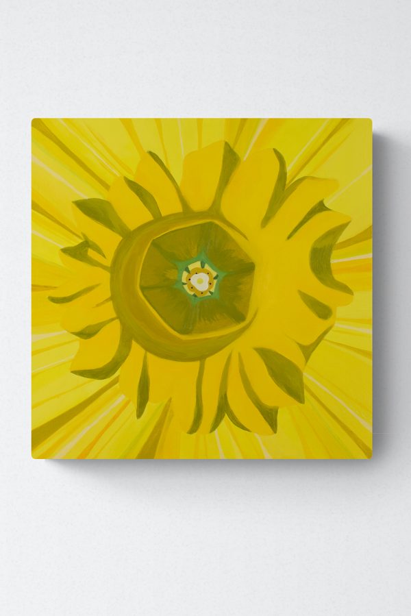 yellow daffodil painting by Amy Daileda on a white wall