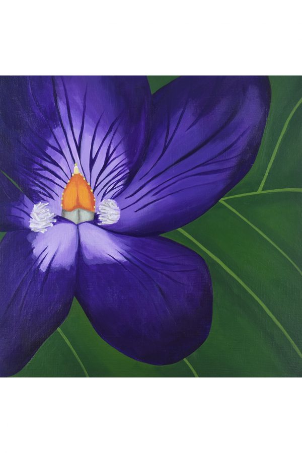 purple and green flower painting of viola by Amy Daileda showing close up of flower with leaf veins in background