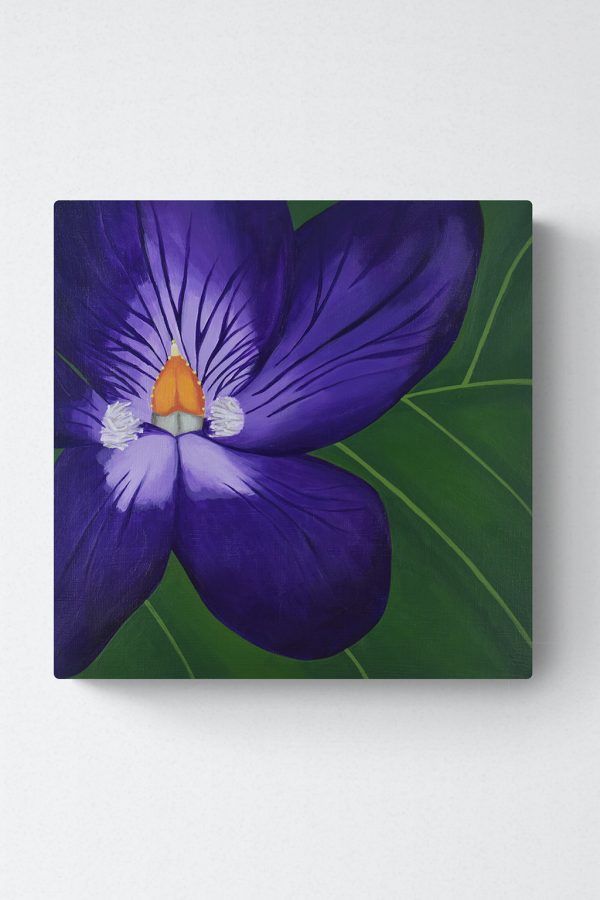 viola painting on white wall