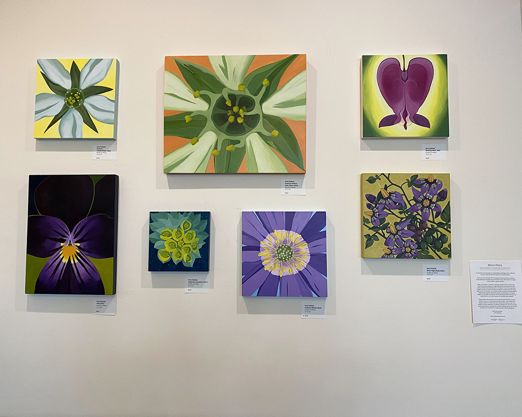 Botanical Paintings by Amy Daileda at Flour Market Bakery 2022