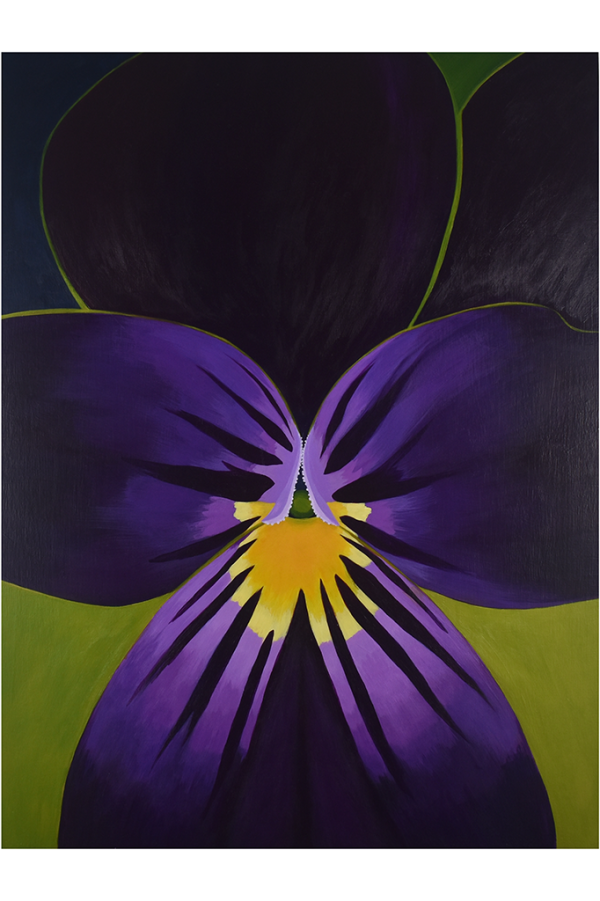Viola giclee art print, reproduction of a painting by Amy Daileda. close up of the viola flower in purples