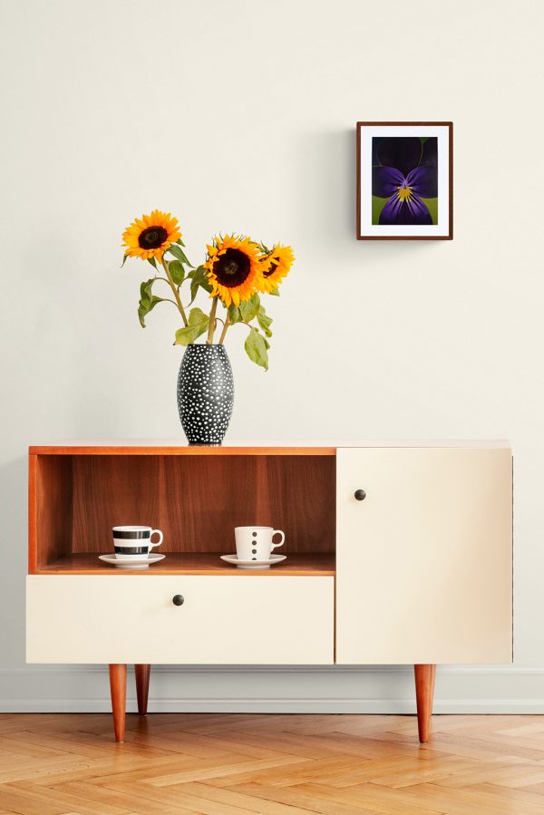 Example of "Viola" print framed with a mat on a wall next to a vase of sunflowers.