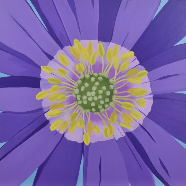 Anemone blanda acrylic painting by Amy Daileda in purples, yellow and green.