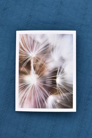 Dandelion – Garden Universe Art Card