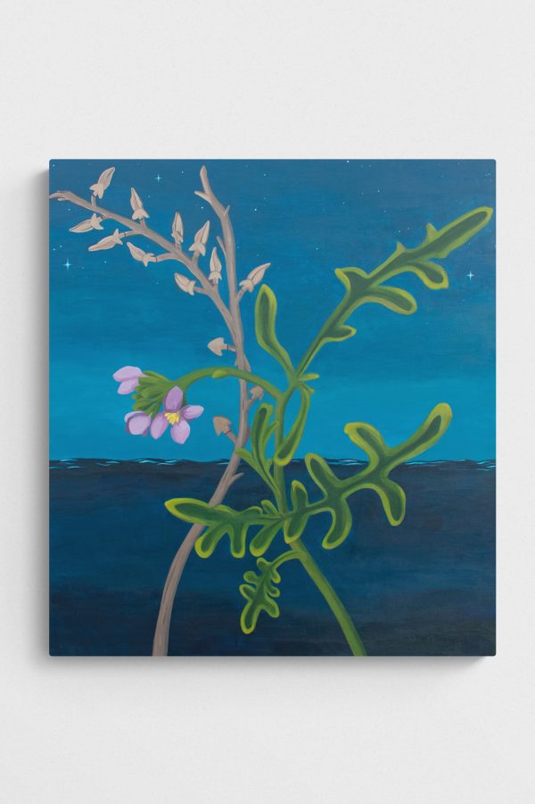 Painting called "Transition" by Amy Daileda in blues and greens with the ocean at dusk and the sea rocket plant.