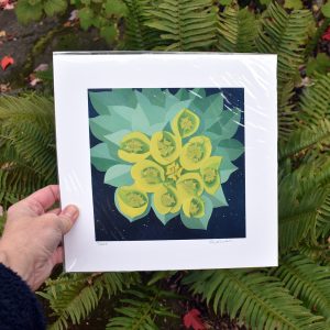 Euphorbia painting reproduction with white border in compostable packaging