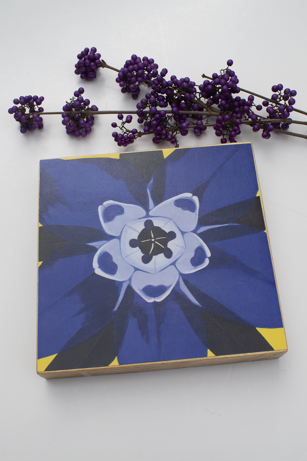 “Borago Officinale” on Gold Maple Wood