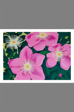 Nootka Rose Art Card
